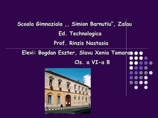 Scoala Gimnaziala ,, Simion Barnutiu”, Zalau Ed. Technologica Prof. Rinzis Nastasia Elevi: Bogdan Eszter, Slavu Xenia Tamara Cls. a VI-a B 