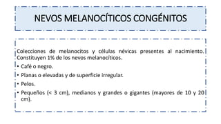 NEVOS MELANOCÍTICOS CONGÉNITOS
Colecciones de melanocitos y células névicas presentes al nacimiento.
Constituyen 1% de los nevos melanocíticos.
• Café o negro.
• Planas o elevadas y de superficie irregular.
• Pelos.
• Pequeños (< 3 cm), medianos y grandes o gigantes (mayores de 10 y 20
cm).
 