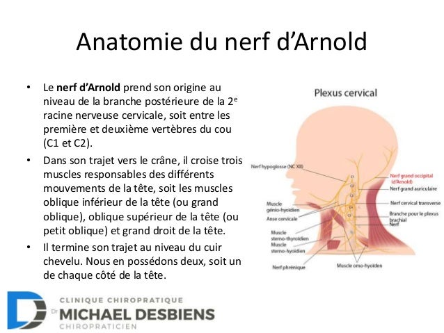 La Névralgie D Arnold Quelques Informations Pertinentes