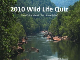 2010 Wild Life Quiz  Identify the state in this picture (abrv) 