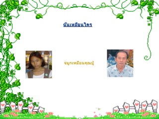 จมูกเหมือนคุณปู่
ฉันเหมือนใครฉันเหมือนใคร
 