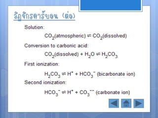 วัฏจักรคาร์บอน (ต่อ)
 