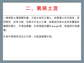 二、氣候土宜 一條根對土壤適應性廣，凡排水良好之壤土、砂質壤土均可栽培，因深根性，抗旱力強，忌排水不良之土壤，故栽培於排水良好有豐富有機質的壤土，可增加產量。生育適溫在攝氏 20-30 度，低溫則生長緩慢。 生育中期須有充足之日照，以促進營養生長。 