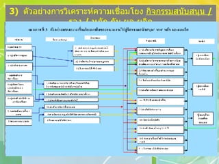 3)  ตัวอย่างการวิเคราะห์ความเชื่อมโยง  กิจกรรมสนับสนุน  /  รอง  /  หลัก  กับ  ผล ผลิต 