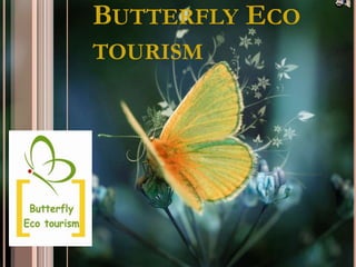 BUTTERFLY ECO
TOURISM
 