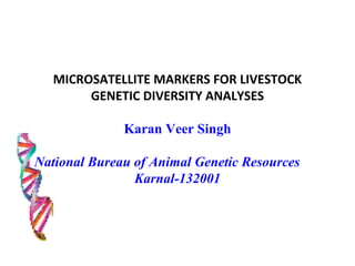 MICROSATELLITE MARKERS FOR LIVESTOCK
GENETIC DIVERSITY ANALYSES
Karan Veer Singh
National Bureau of Animal Genetic Resources
Karnal-132001

 