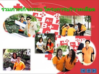 รวมภาพกิจกรรม โครงการบริจาคเลือด
 