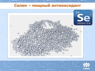 Селен – мощный антиоксидант 
 