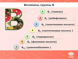 Витамины группы В 
1 B1 (тиамин) 
2 B2 (рибофлавин) 
3 B3 (никотиновая кислота) 
4 B5 (пантотеновая кислота ) 
5 B6 (пиридоксин) 
6 B9 (фолиевая кислота) 
7 B12 (цианокобаламин ) 
 