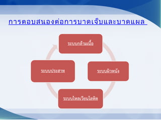 การตอบสนองต่อการบาดเจ็บและบาดแผล
 