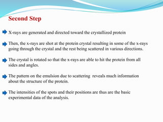 Second Step
X-rays are generated and directed toward the crystallized protein
Then, the x-rays are shot at the protein crystal resulting in some of the x-rays
going through the crystal and the rest being scattered in various directions.
The crystal is rotated so that the x-rays are able to hit the protein from all
sides and angles.
The pattern on the emulsion due to scattering reveals much information
about the structure of the protein.
The intensities of the spots and their positions are thus are the basic
experimental data of the analysis.
 