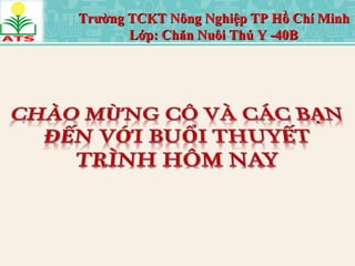 Trường TCKT Nông Nghiệp TP Hồ Chí MinhTrường TCKT Nông Nghiệp TP Hồ Chí Minh
Lớp: Chăn Nuôi Thú Y -40BLớp: Chăn Nuôi Thú Y -40B
 