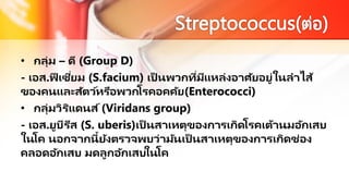 • กลุ่ม – ดี (Group D)
- เอส.ฟี เซี่ยม (S.facium) เป็ นพวกที่มีแหล่งอาศัยอยู่ในลาไส้
ของคนและสัตว์หรือพวกโรคอคคัย(Enterococci)
• กลุ่มวิริแดนส์(Viridans group)
- เอส.ยูบีรีส (S. uberis)เป็ นสาเหตุของการเกิดโรคเต้านมอักเสบ
ในโค นอกจากนี้ยังตรวจพบว่ามันเป็ นสาเหตุของการเกิดช่อง
คลอดอักเสบ มดลูกอักเสบในโค
 