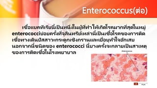 เชื้อแบคทีเรียนี้เป็ นหนึ่งในผู้ที่ทาให้เกิดโรคมากที่สุดในหมู่
enterococciบ่อยครั้งที่จุลินทรีย์เหล่านี้เป็ นเชื้อโรคของการติด
เชื้อทางเดินปัสสาวะกระดูกเชิงกรานและเยื่อบุหัวใจอักเสบ
นอกจากนี้ชนิดของ enterococci นี้บางครั้งจะกลายเป็ นสาเหตุ
ของการติดเชื้อในโรงพยาบาล
 