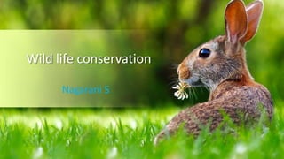 Nagarani S
Wild life conservation
 