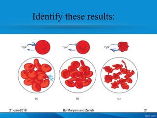 Identify these results:
21-Jan-2019 21By Maryam and Zerish
 