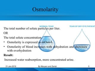 Osmolarity
The total number of solute particles per liter.
OR
The total solute concentration.
• Osmolarity is expressed as mOsm/L.
• Osmolarity of blood increases with dehydration and decreases
with overhydration
Result:
Increased water reabsorption, more concentrated urine.
21-Jan-2019 By Maryam and Zerish 5
 