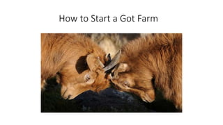 How to Start a Got Farm
 