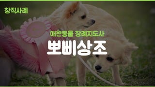 애완동물 장례지도사
뽀삐상조
창직사례
 
