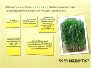 ЧОМУ МІСКАНТУС?
ХХI століття принесло м і с к а н т у с у світове визнання і титул
«революційної біоенергетичної культури», оскільки він…
 