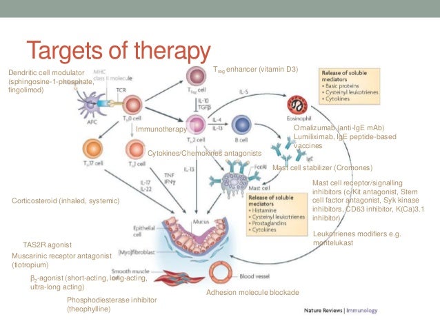New drugs for asthma New drugs for asthma