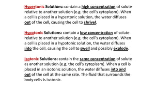 Hypertonic Solutions: contain a high concentration of solute
relative to another solution (e.g. the cell's cytoplasm). When
a cell is placed in a hypertonic solution, the water diffuses
out of the cell, causing the cell to shrivel.
Hypotonic Solutions: contain a low concentration of solute
relative to another solution (e.g. the cell's cytoplasm). When
a cell is placed in a hypotonic solution, the water diffuses
into the cell, causing the cell to swell and possibly explode.
Isotonic Solutions: contain the same concentration of solute
as another solution (e.g. the cell's cytoplasm). When a cell is
placed in an isotonic solution, the water diffuses into and
out of the cell at the same rate. The fluid that surrounds the
body cells is isotonic.
 