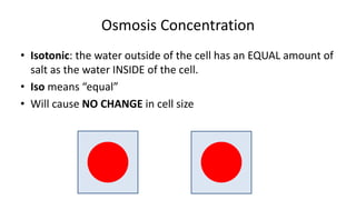 Osmosis Concentration
• Isotonic: the water outside of the cell has an EQUAL amount of
salt as the water INSIDE of the cell.
• Iso means “equal”
• Will cause NO CHANGE in cell size
 