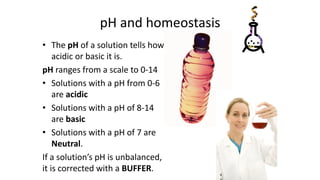 pH and homeostasis
• The pH of a solution tells how
acidic or basic it is.
pH ranges from a scale to 0-14
• Solutions with a pH from 0-6
are acidic
• Solutions with a pH of 8-14
are basic
• Solutions with a pH of 7 are
Neutral.
If a solution’s pH is unbalanced,
it is corrected with a BUFFER.
 