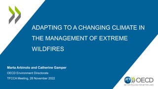 ADAPTING TO A CHANGING CLIMATE IN
THE MANAGEMENT OF EXTREME
WILDFIRES
Marta Arbinolo and Catherine Gamper
OECD Environment Directorate
TFCCA Meeting, 28 November 2022
 