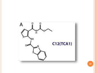 New agents for the treatment of drug resistant Mycobacterium ...