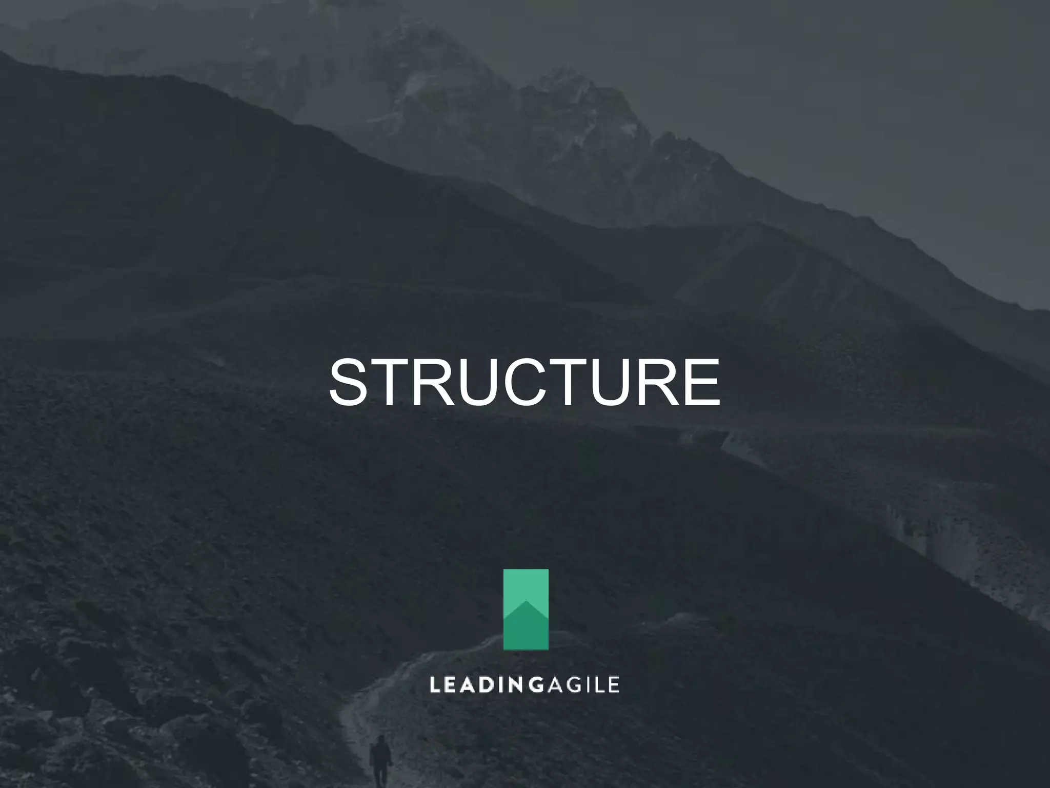 Services Teams – These teams 
support common services across 
product lines. These teams support the 
needs of the product teams. 
Team 
 