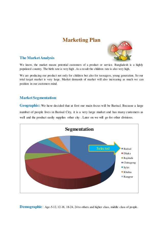 Sample of business plan pdf picture