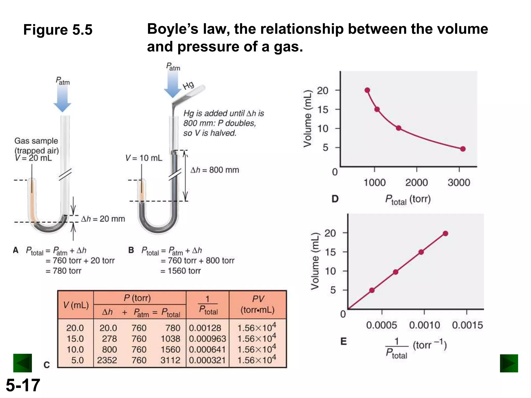 Figure 5.5

5-17

Boyle’s law, the relationship between the volume
and pressure of a gas.

 