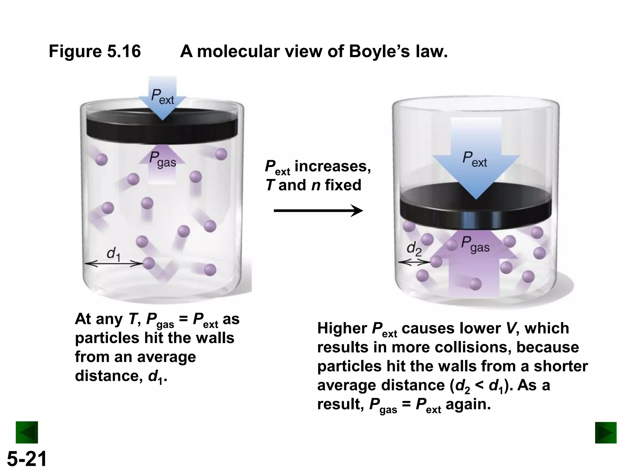 Figure 5.16

A molecular view of Boyle’s law.

Pext increases,
T and n fixed

At any T, Pgas = Pext as
particles hit the walls
from an average
distance, d1.

5-21

Higher Pext causes lower V, which
results in more collisions, because
particles hit the walls from a shorter
average distance (d2 < d1). As a
result, Pgas = Pext again.

 