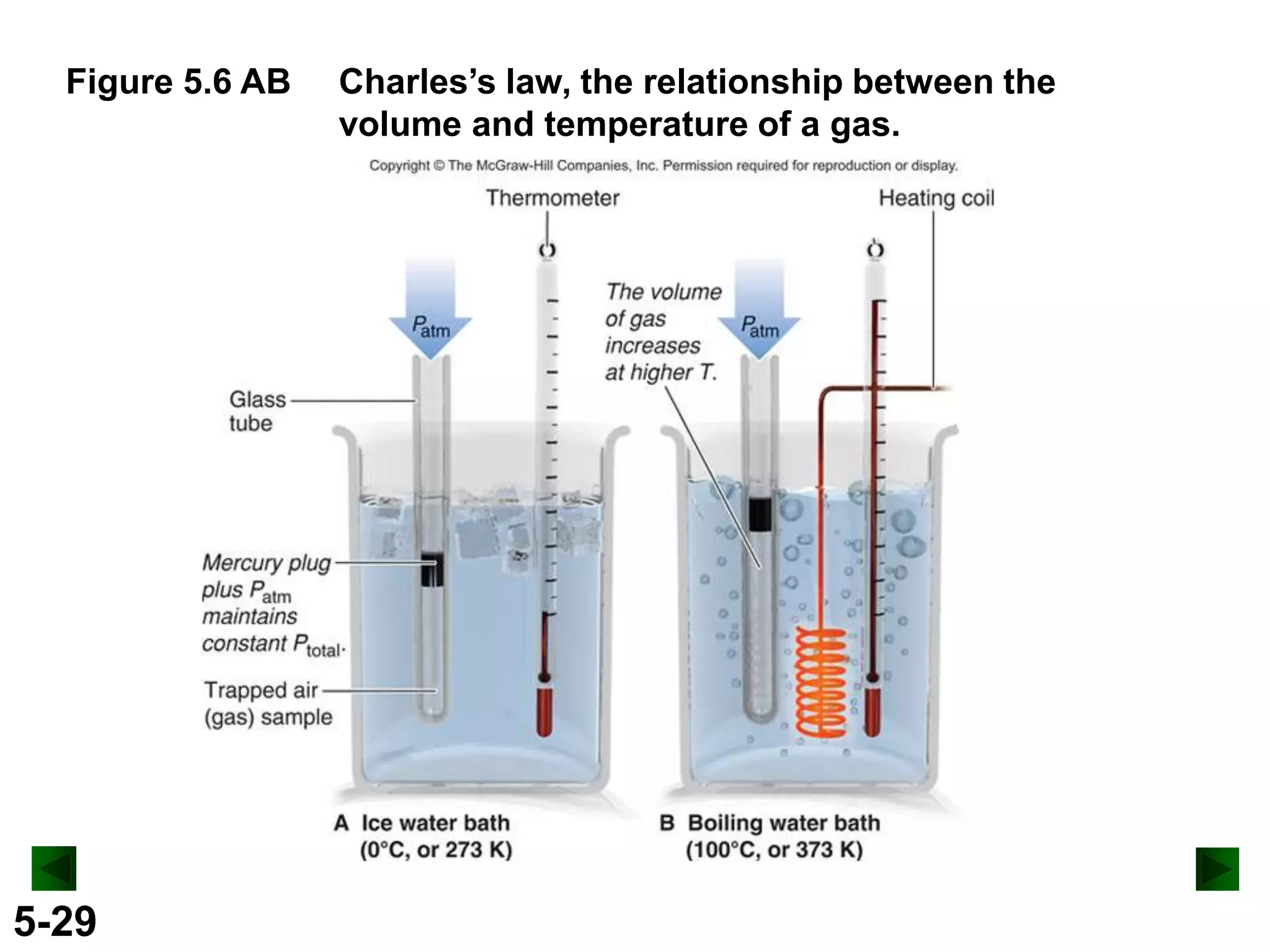 Figure 5.6 AB

5-29

Charles’s law, the relationship between the
volume and temperature of a gas.

 