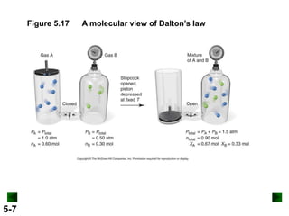 Figure 5.17

5-7

A molecular view of Dalton’s law

 