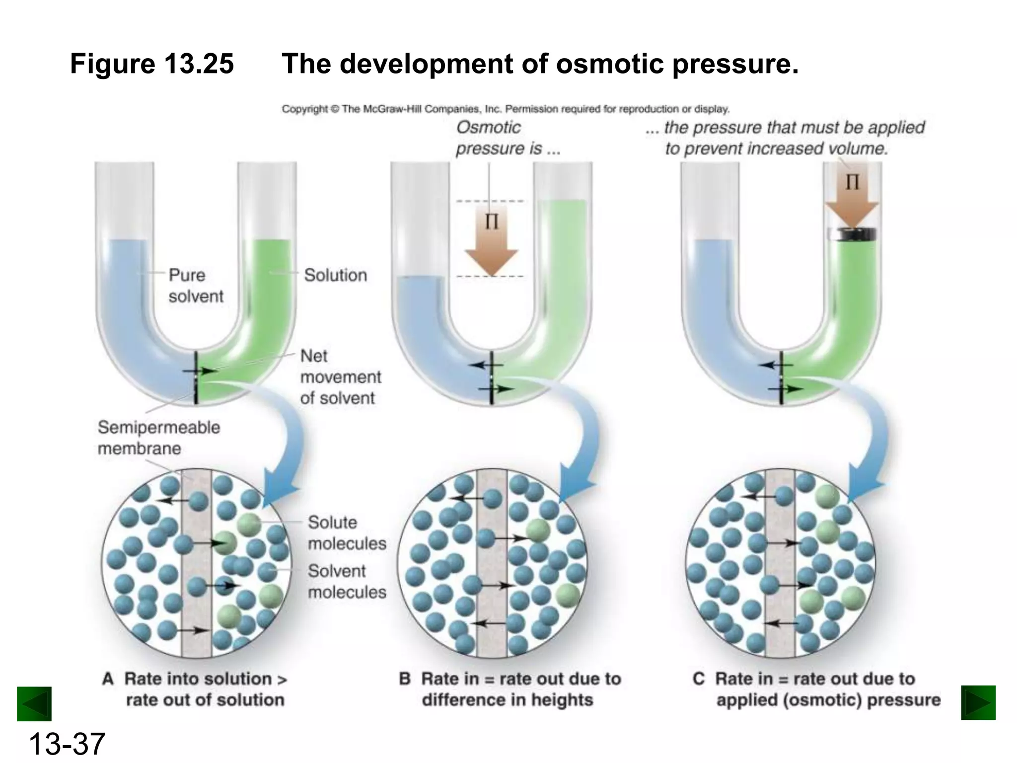 Figure 13.25

13-37

The development of osmotic pressure.

 