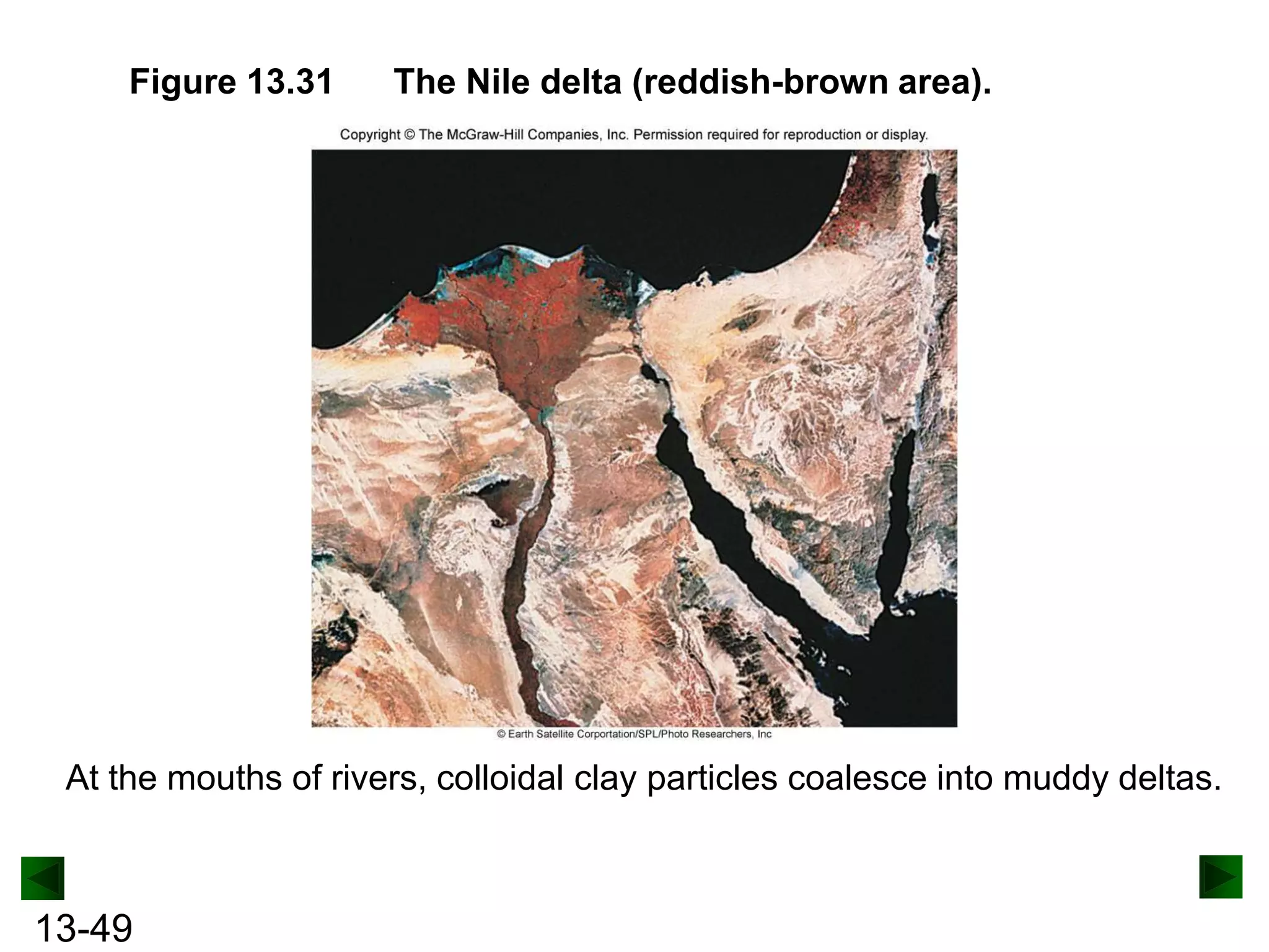 Figure 13.31

The Nile delta (reddish-brown area).

At the mouths of rivers, colloidal clay particles coalesce into muddy deltas.

13-49

 