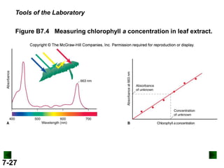 Tools of the Laboratory
Figure B7.4 Measuring chlorophyll a concentration in leaf extract.

7-27

 