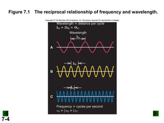 Figure 7.1 The reciprocal relationship of frequency and wavelength.

7-4

 