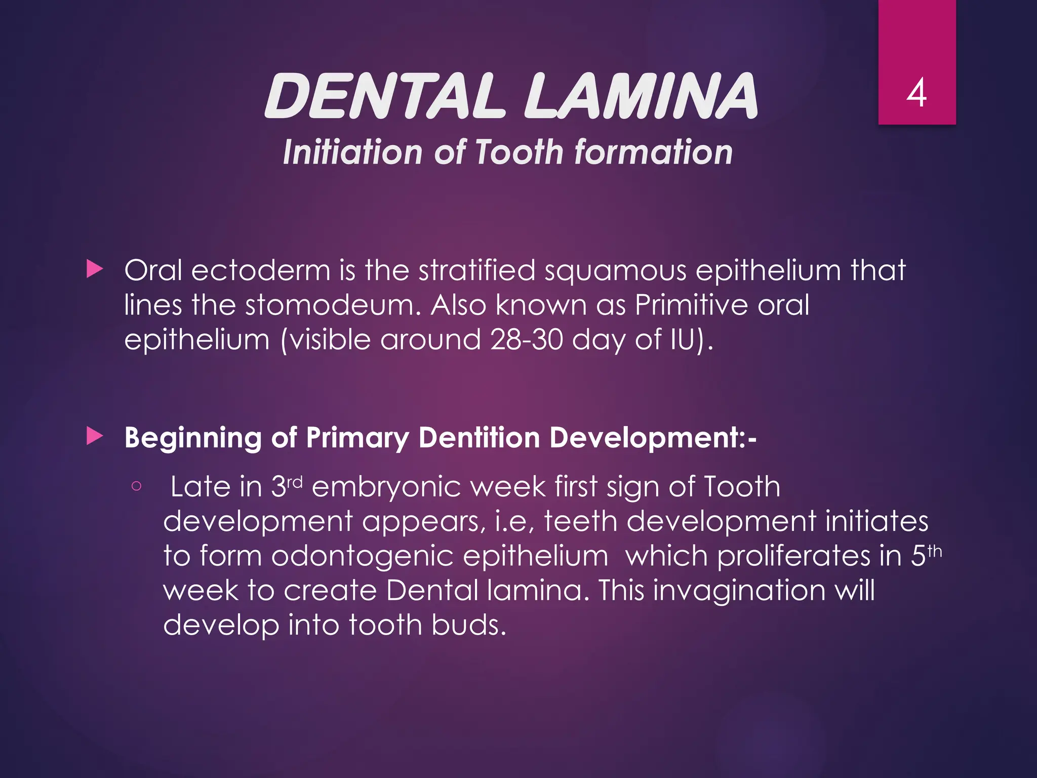 New-DEVELOPMENT OF DENTITION AND OCCLUSION.pptx