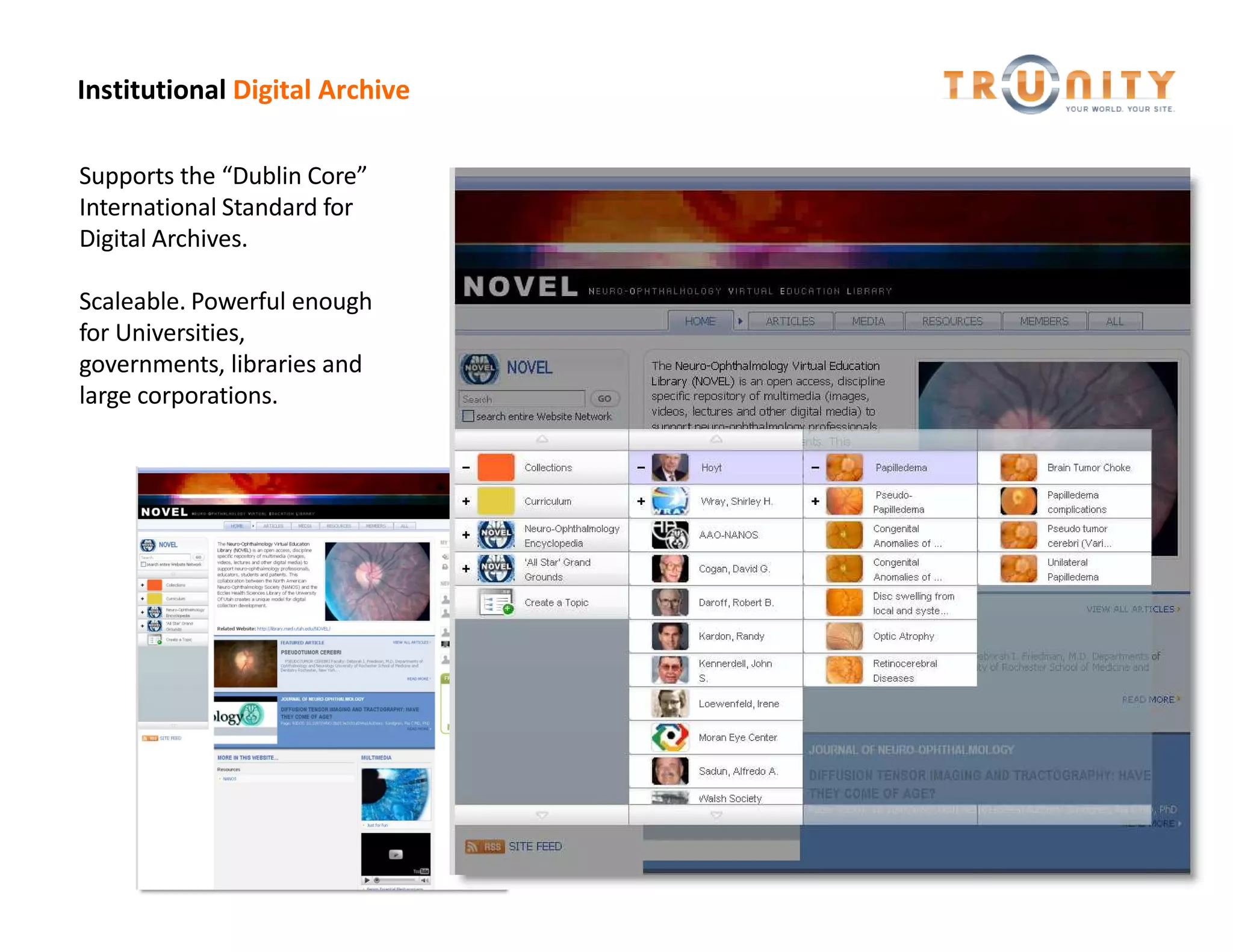 Institutional Digital Archive

Supports the Dublin Core
International Standard for
Digital Archives.

Scaleable. Powerful enough
for Universities,
governments, libraries and
large corporations.
 