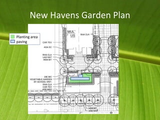 New Havens Garden Plan Planting area paving 