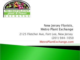 2125 Fletcher Ave, Fort Lee, New Jersey  (201) 944-1050 MetroPlantExchange.com 