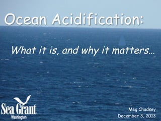 Ocean Acidification:	
  
What it is, and why it matters…	
  
	
  

Meg Chadsey
December 3, 2013

 