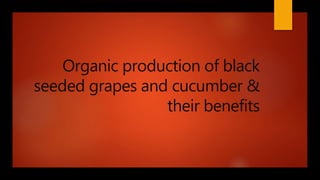 Organic production of black
seeded grapes and cucumber &
their benefits
 