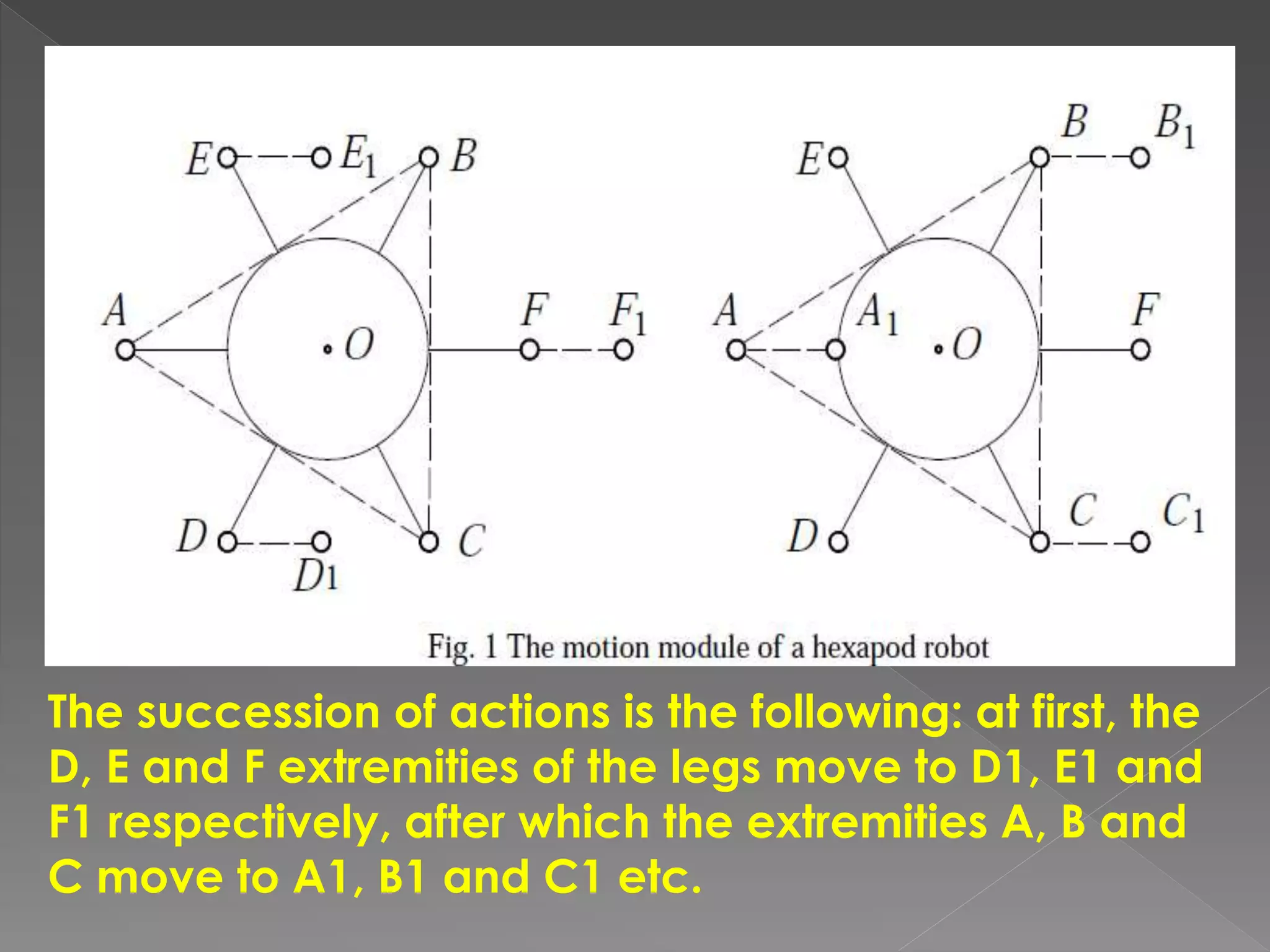 The succession of actions is the following: at first, the
D, E and F extremities of the legs move to D1, E1 and
F1 respectively, after which the extremities A, B and
C move to A1, B1 and C1 etc.
 