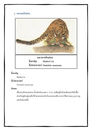 1. แมวลายหินออน




ชื่อสามัญ
        Marble Cat
ชื่อวิทยาศาสตร
        Pardofelis marmorata
ลักษณะ
        เปนแมวปาขนาดกลาง น้ําหนักประมาณ 4 - 5 ก.ก. อาศัยอยูในปาดงดิบและปาดิบชื้น
        สวนใหญมักอยูบนตนไม ชอบออกหากินในเวลากลางคืน อาหารไดแก แมลง งู นก หนู
        และลิงขนาดเล็ก
 