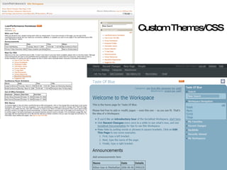 Custom Themes/CSS 