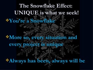 The Snowflake Effect:  UNIQUE is what we seek! You’re a Snowflake More so, every situation and every project is unique Always has been, always will be 
